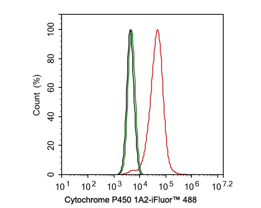 Cytochrome P450 1A2 Antibody (JE39-22)