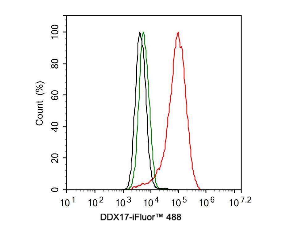 DDX17 Antibody (JE35-01)