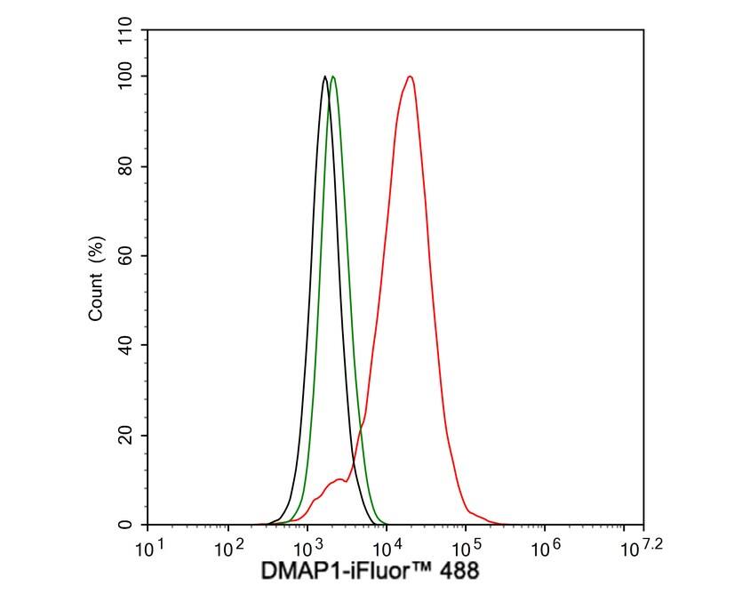 DMAP1 Antibody (JE55-31)