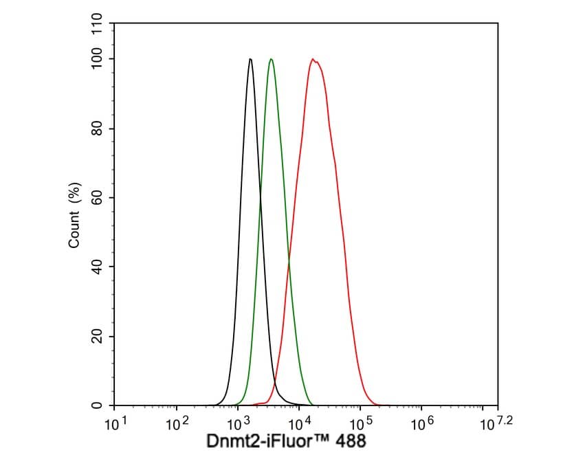 Dnmt2 Antibody (PSH03-43)