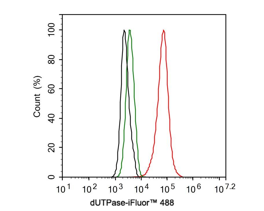 dUTPase Antibody (JE66-11)