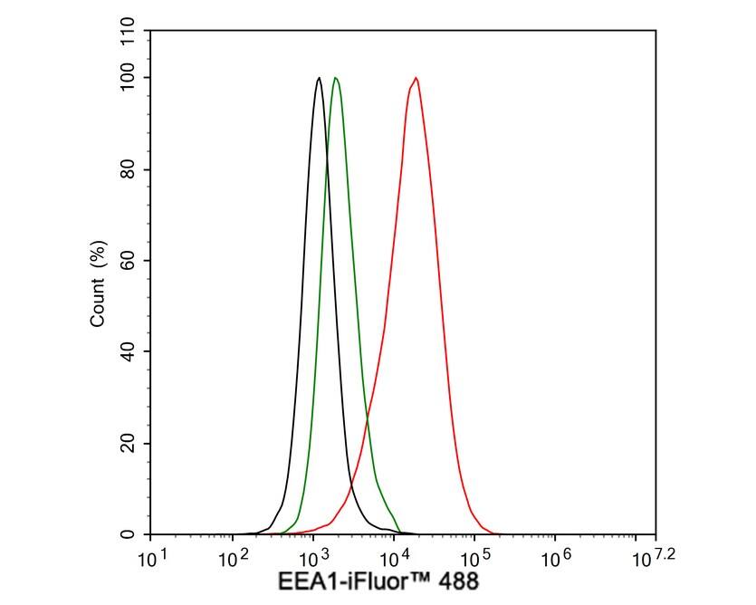 EEA1 Antibody (JE59-34)