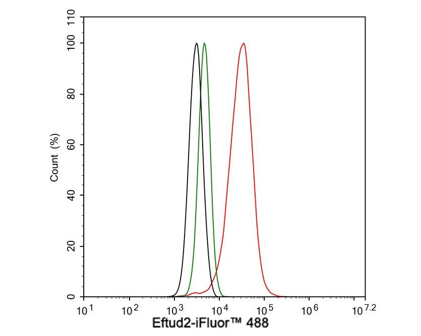 EFTUD2 Antibody (1-D10-A1-R)