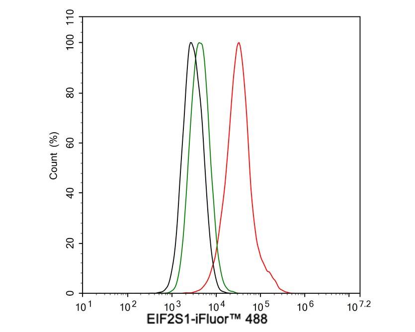 eIF2 alpha/EIF2S1 Antibody (PSH04-29)