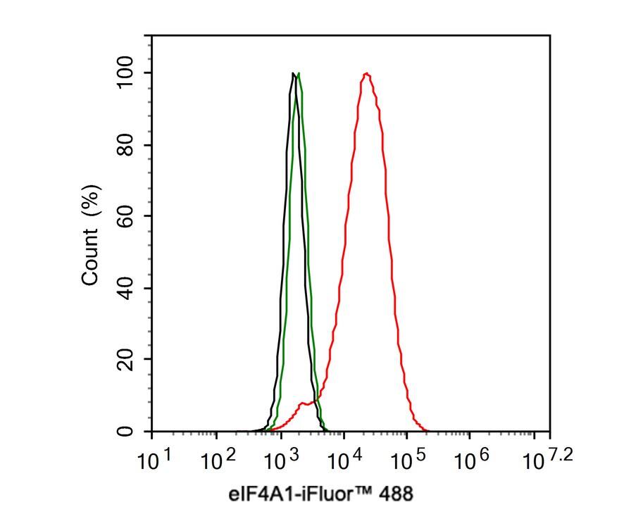 eIF4A1 Antibody (JE35-43)