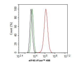 eIF4E Antibody (JE60-70)