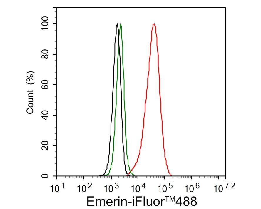 Emerin Antibody (PSH01-86)