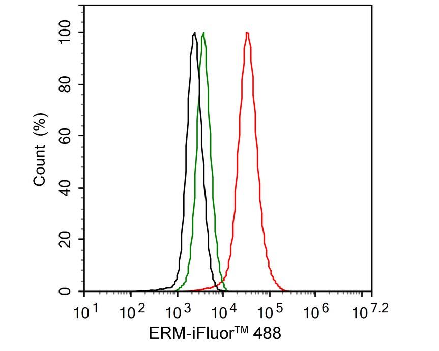 ETV5/ERM Antibody (PSH02-64)