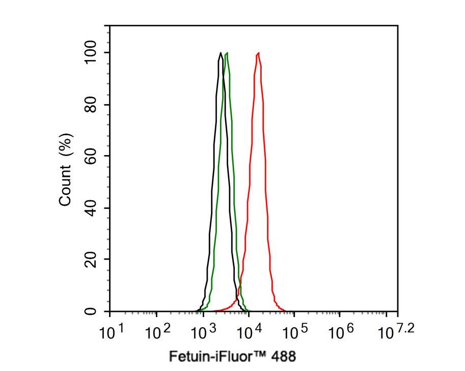 Fetuin A/AHSG Antibody (JE54-96)