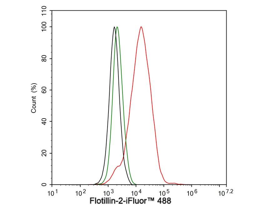 Flotillin 2 Antibody (PSH03-41)
