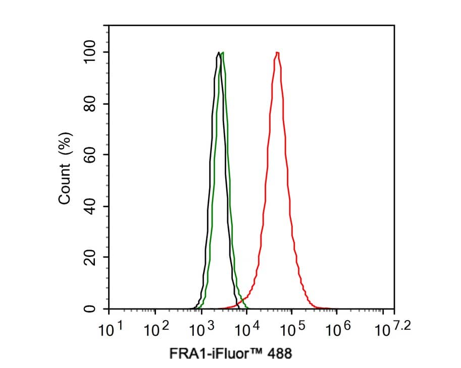 FRA-1/FOSL1 Antibody (JE33-20)