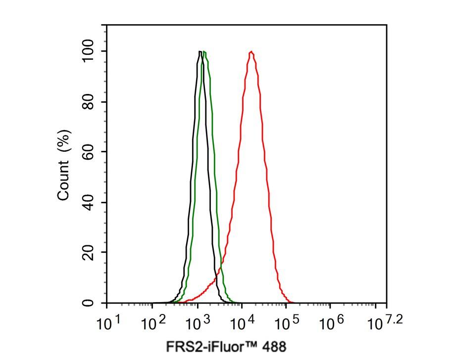 FRS2 Antibody (JE30-77)
