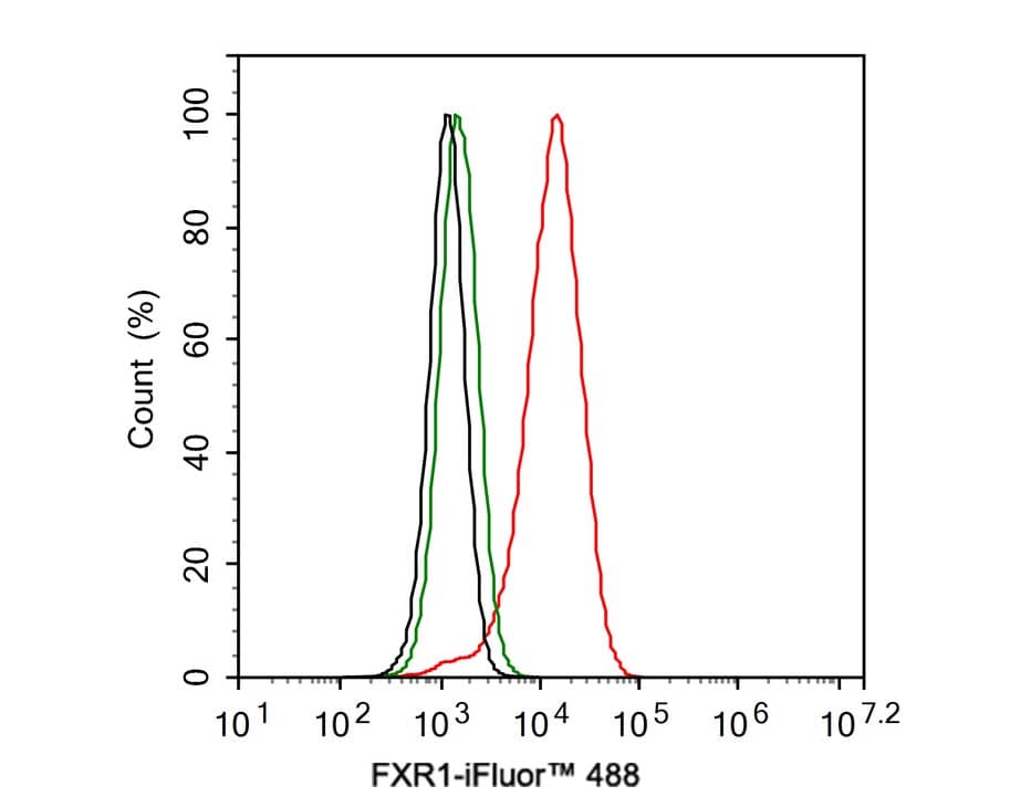 FXR1 Antibody (JE40-57)