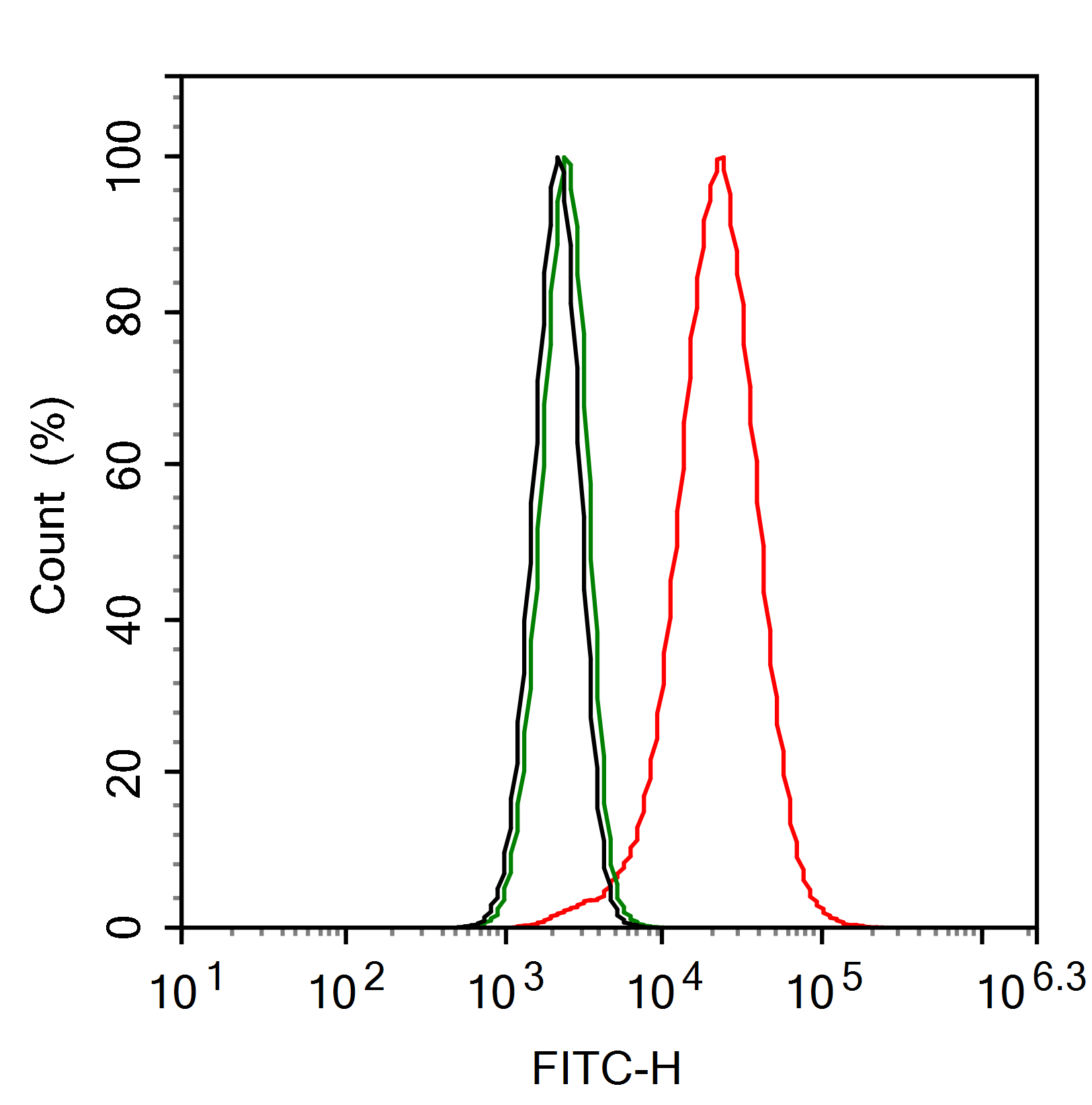 G3BP1 Antibody (JE35-20)