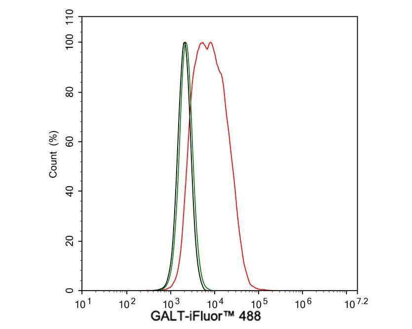 GALT Antibody (PSH02-87)