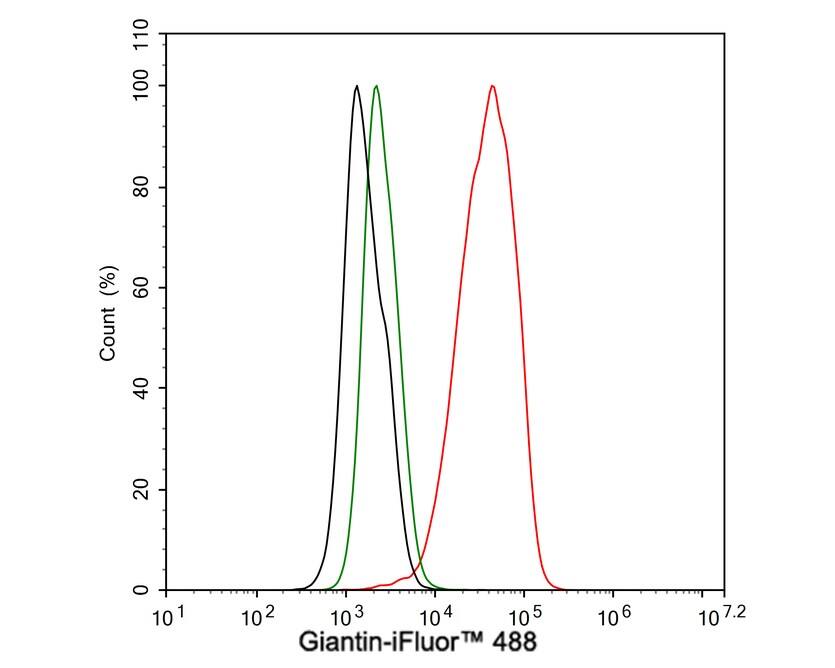 GOLGB1/Giantin Antibody (PSH03-86)