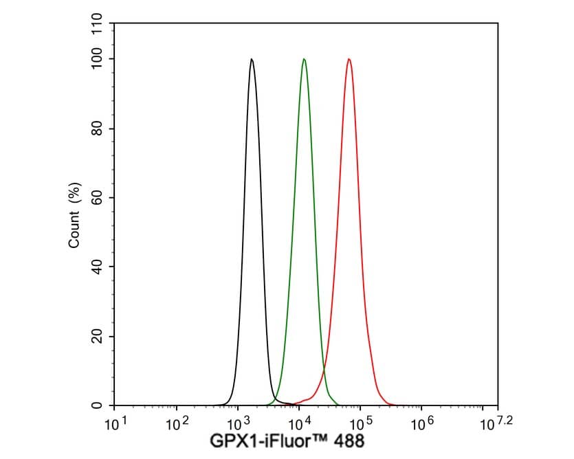 Glutathione Peroxidase 1/GPX1 Antibody (A6-C0-B9-R)