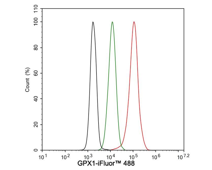 Glutathione Peroxidase 1/GPX1 Antibody (C5-A10-R)