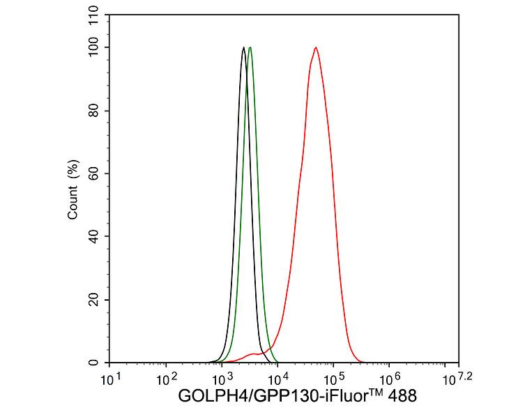 GOLPH4 Antibody (PSH02-98)