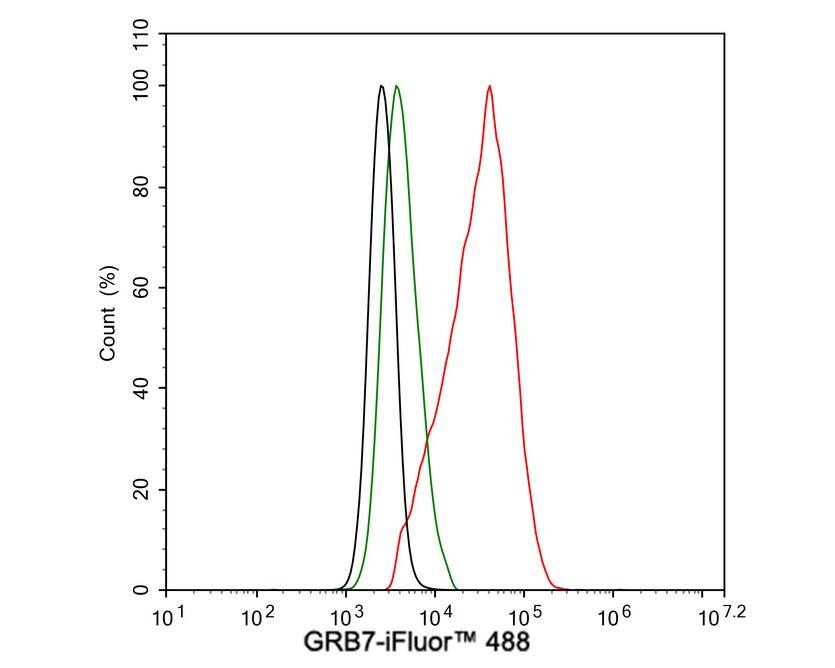 GRB7 Antibody (JE50-05)