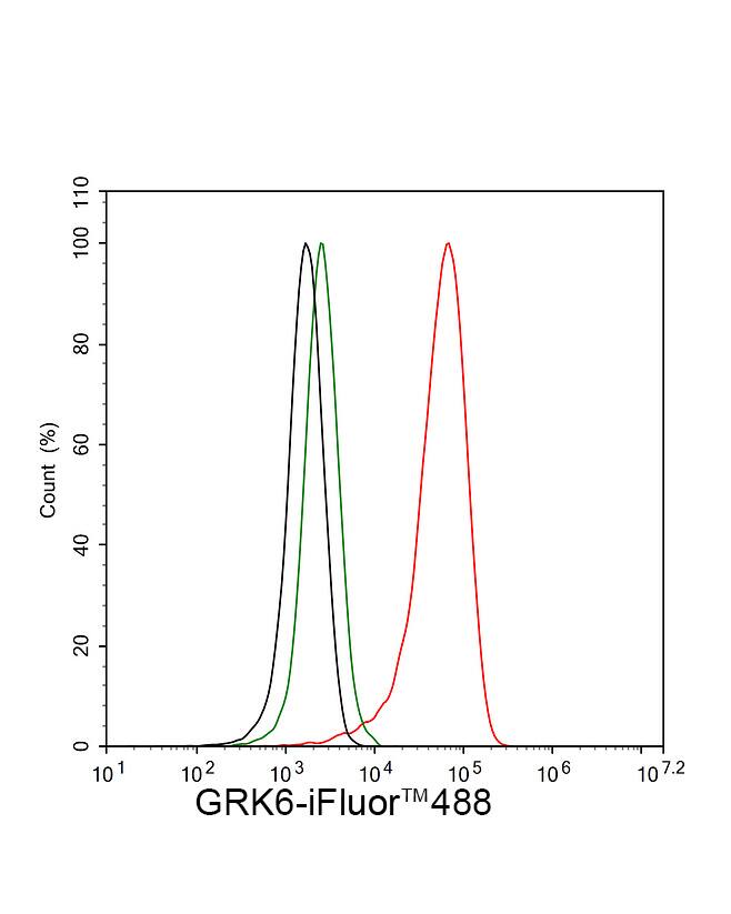 GRK6 Antibody (JE63-06)