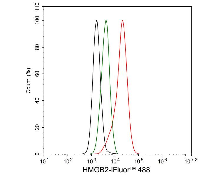 HMGB2 Antibody (JE52-82)