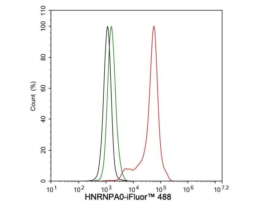 HNRNPA0 Antibody (PSH02-77)