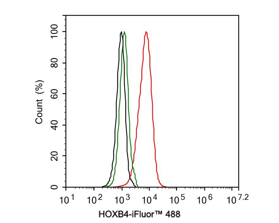 HOXB4 Antibody (JE36-65)