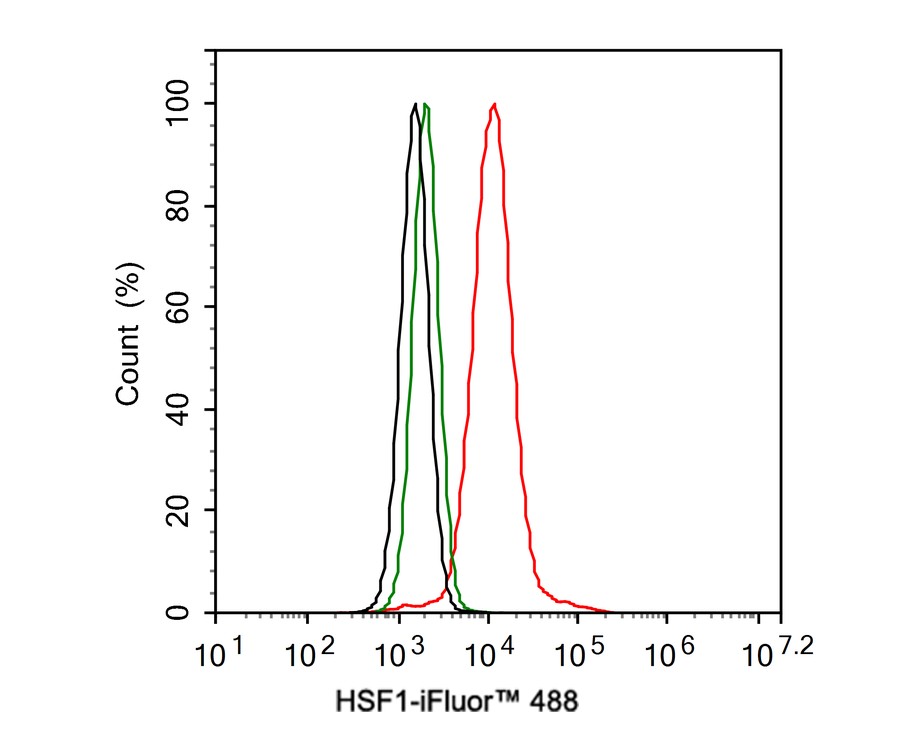 HSF1 Antibody (JE44-79)