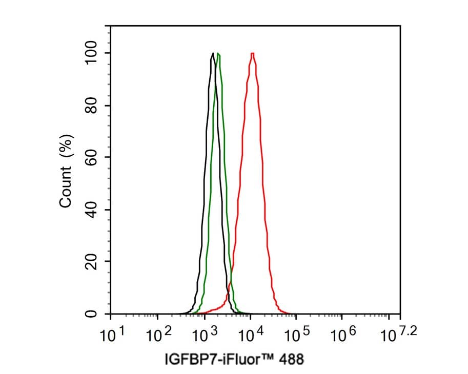 IGFBP-rp1/IGFBP-7 Antibody (JE34-01)