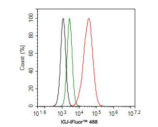 IgJ Antibody (PD00-89)