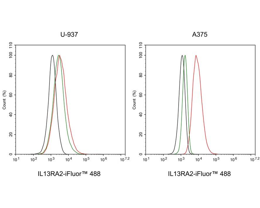 IL-13R alpha 2 Antibody (PSH03-85)