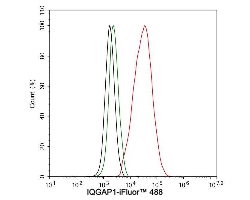 IQGAP1 Antibody (JE50-66)