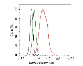 JMJD1B Antibody (1A8)