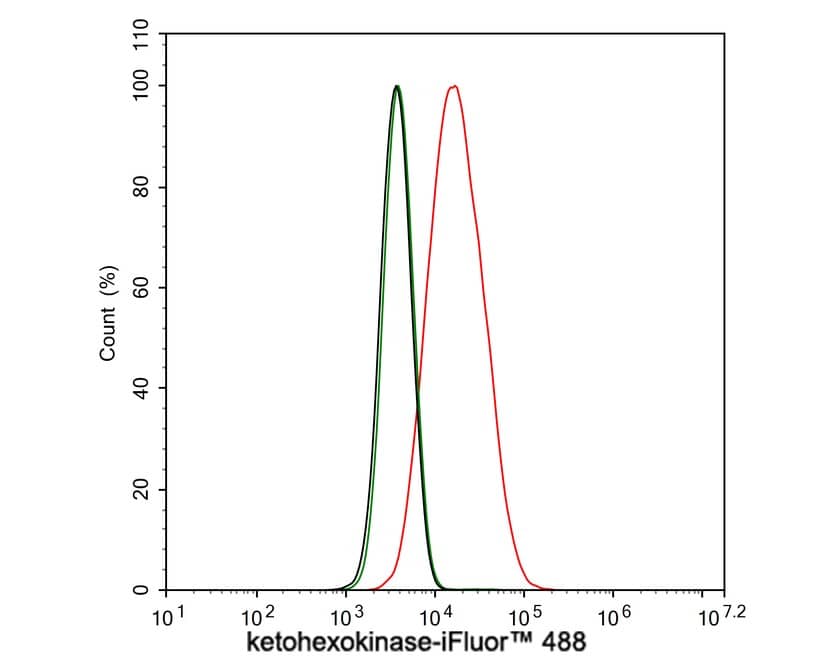 Ketohexokinase Antibody (PSH03-18)