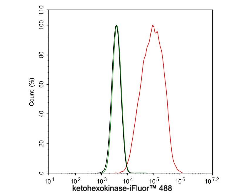 Ketohexokinase Antibody (PSH03-19)