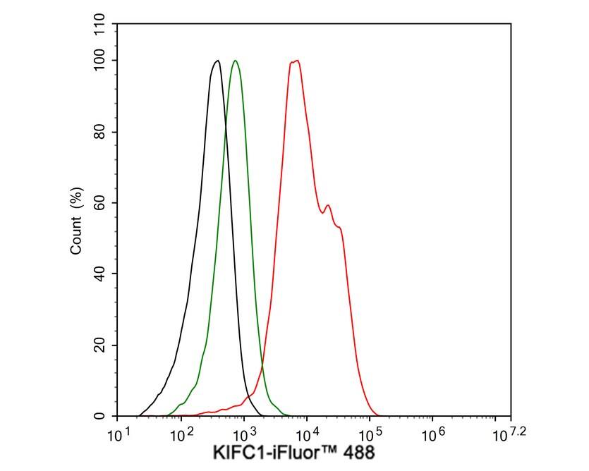 KIFC1 Antibody (JE00-46)