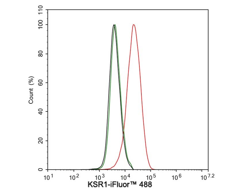 KSR1 Antibody (JE57-75)
