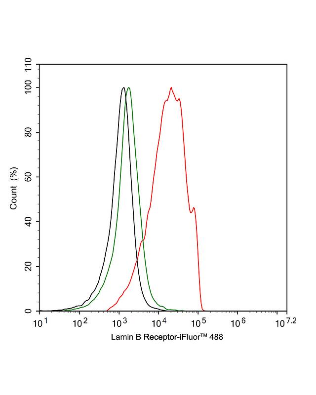 Lamin B Receptor Antibody (PSH02-93)