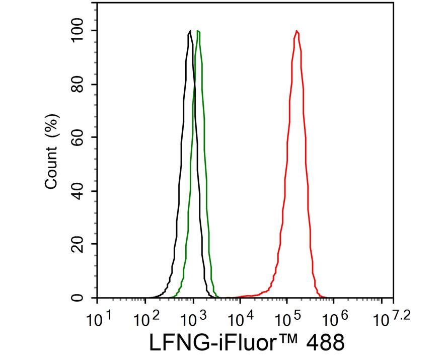 Lunatic Fringe Antibody (JE66-62)