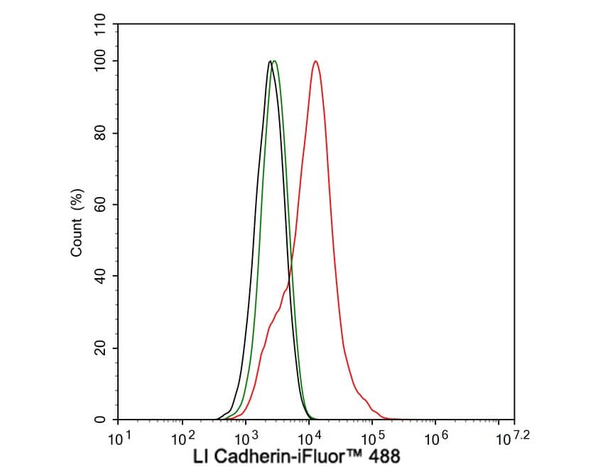 Cadherin-17 Antibody (JE60-34)
