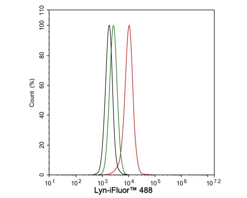 Lyn Antibody (JE44-75)