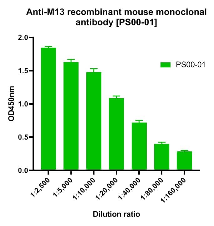 fd/M13 bacteriophage Antibody (PS00-01)