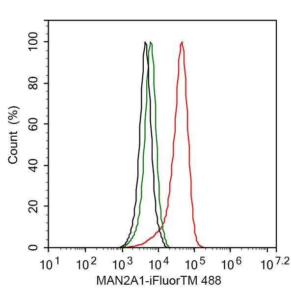 Alpha-mannosidase II Antibody (PSH02-67)