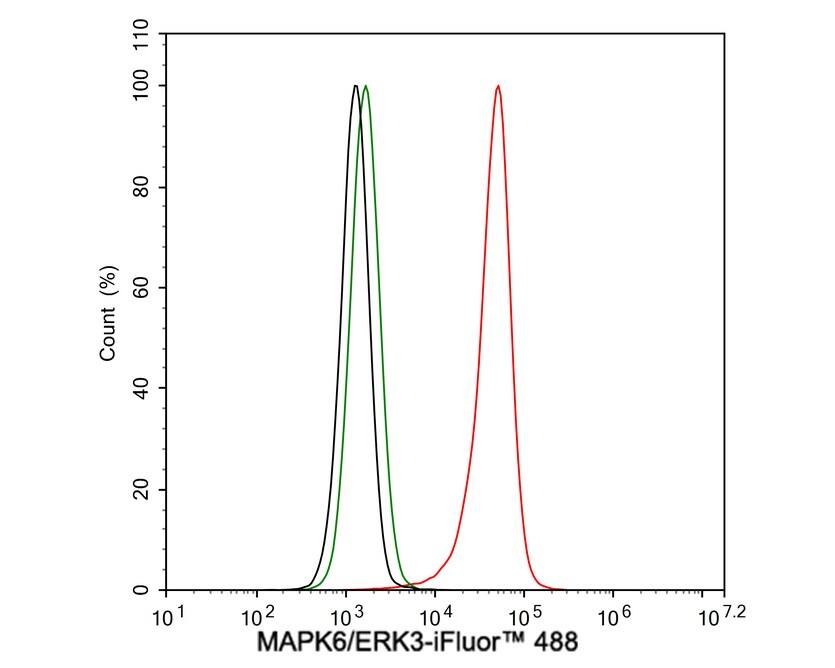 ERK3/MAPK6 Antibody (PSH03-39)