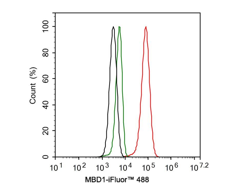 MBD1 Antibody (PSH01-79)