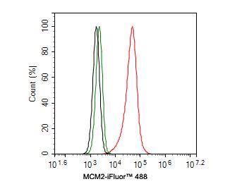 MCM2 Antibody (PD00-90)