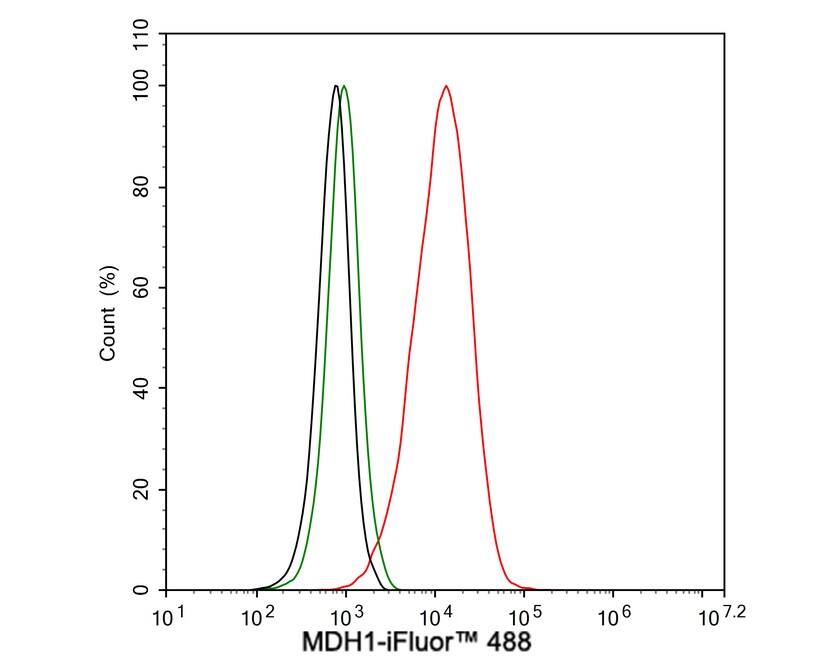 MDH1 Antibody (JE35-03)