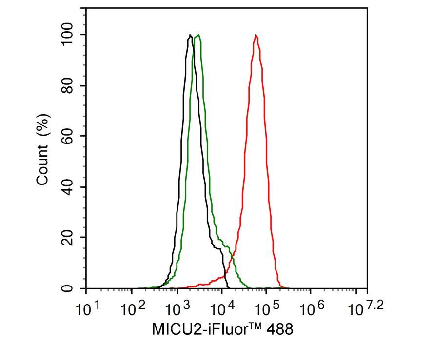 EFHA1 Antibody (PSH01-84)