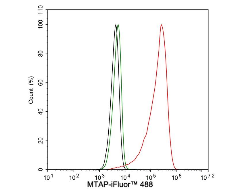MTAP Antibody (JE63-74)